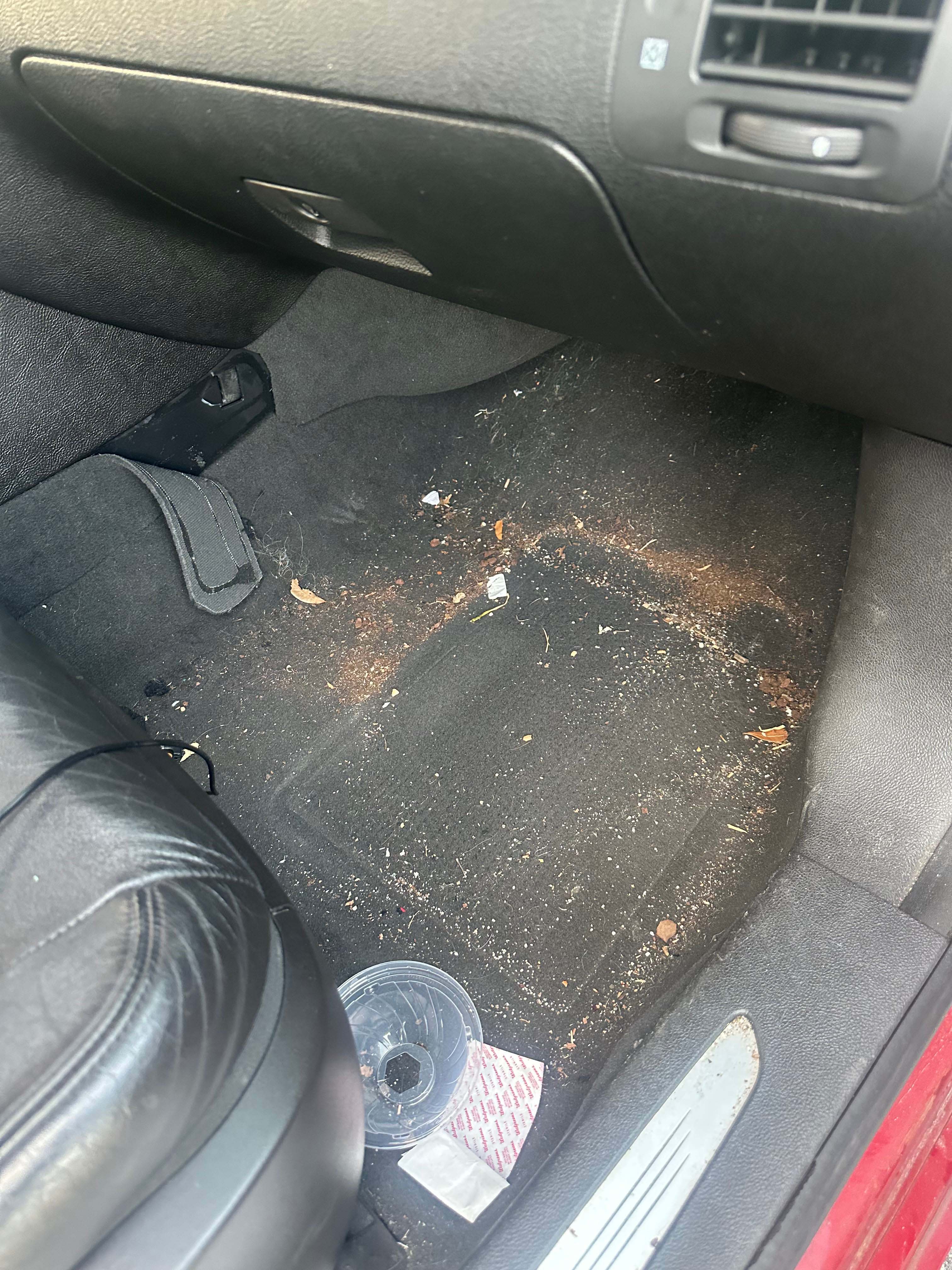 Before cleaning interior floor